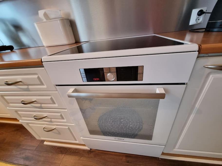 Valoisa Huoneisto Jossa Erinomaiset Vuoteet. ミッケリ エクステリア 写真