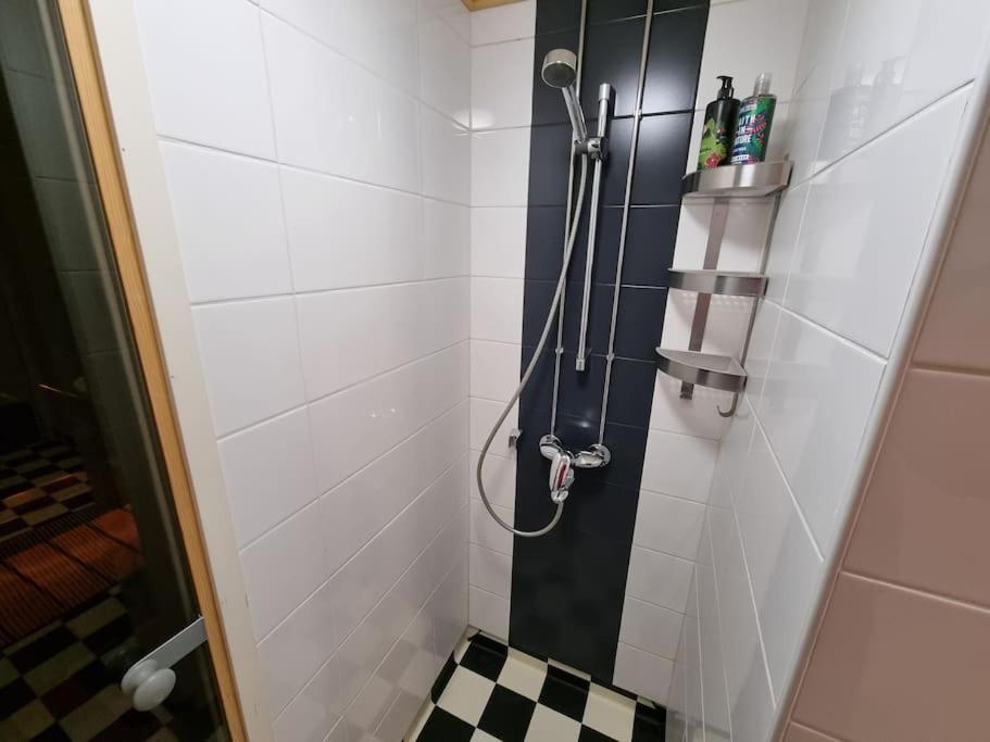 Valoisa Huoneisto Jossa Erinomaiset Vuoteet. ミッケリ エクステリア 写真